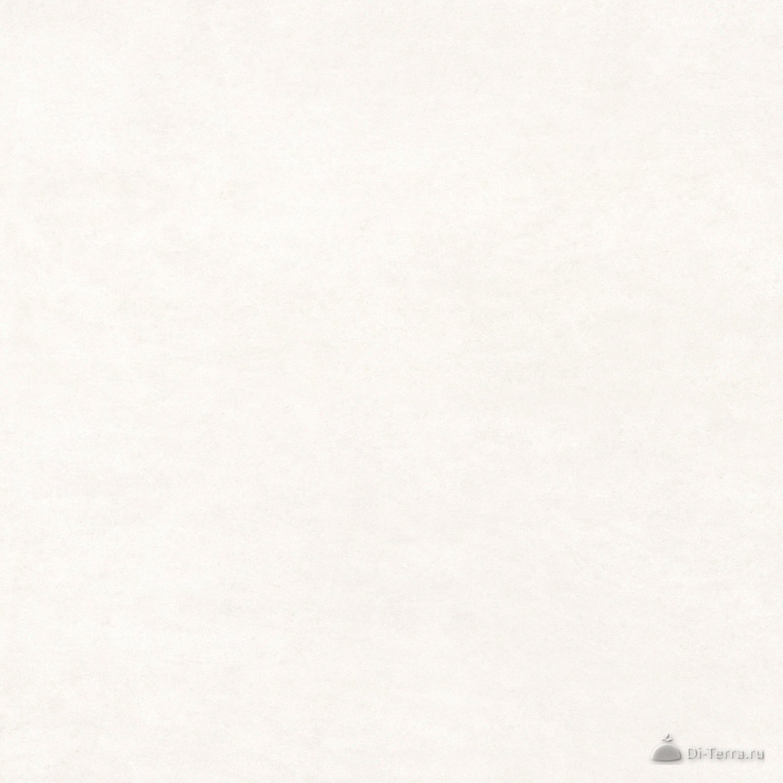 Light Grey 200×200 Matt