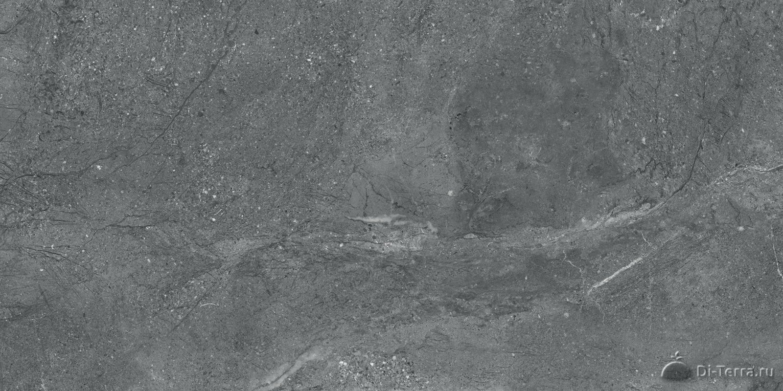 Altai Graphite 60×30 Matt