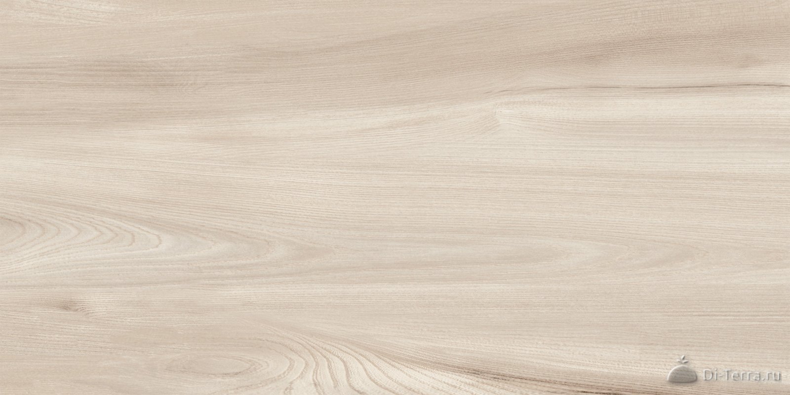 Goa Crema 300×600 Matt