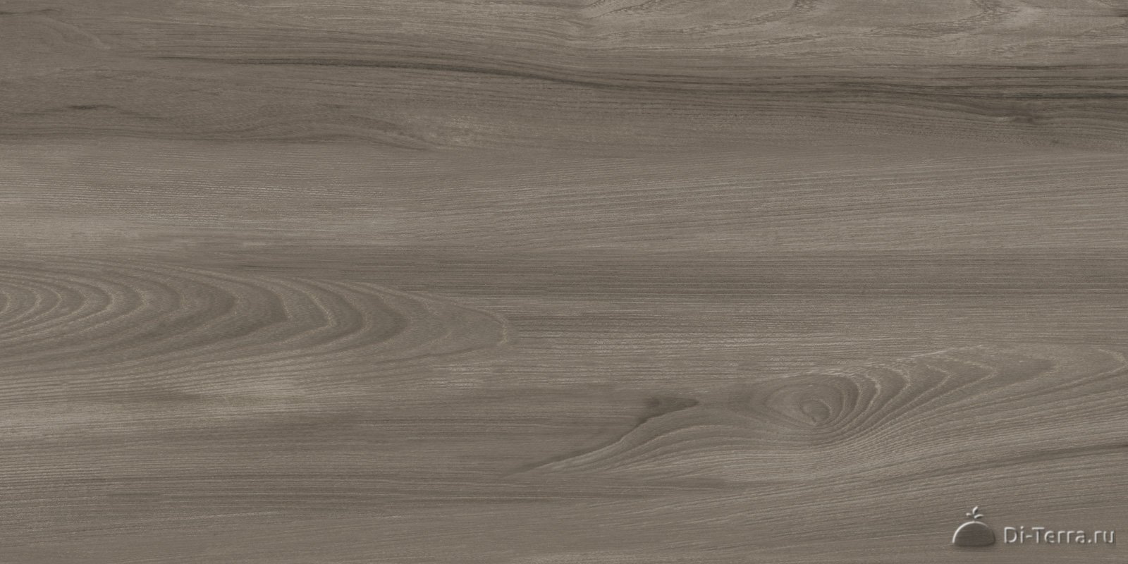 Goa Taupe 300×600 Matt