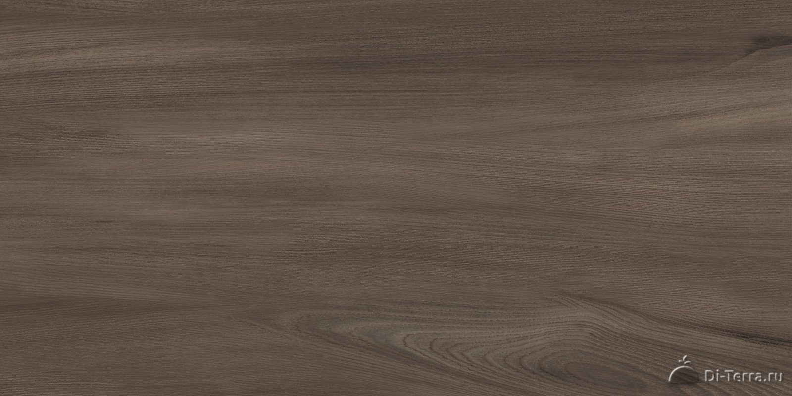 Goa Marron 300×600 Matt