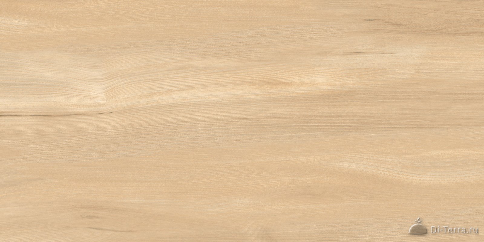 Goa Bronze 300×600 Matt