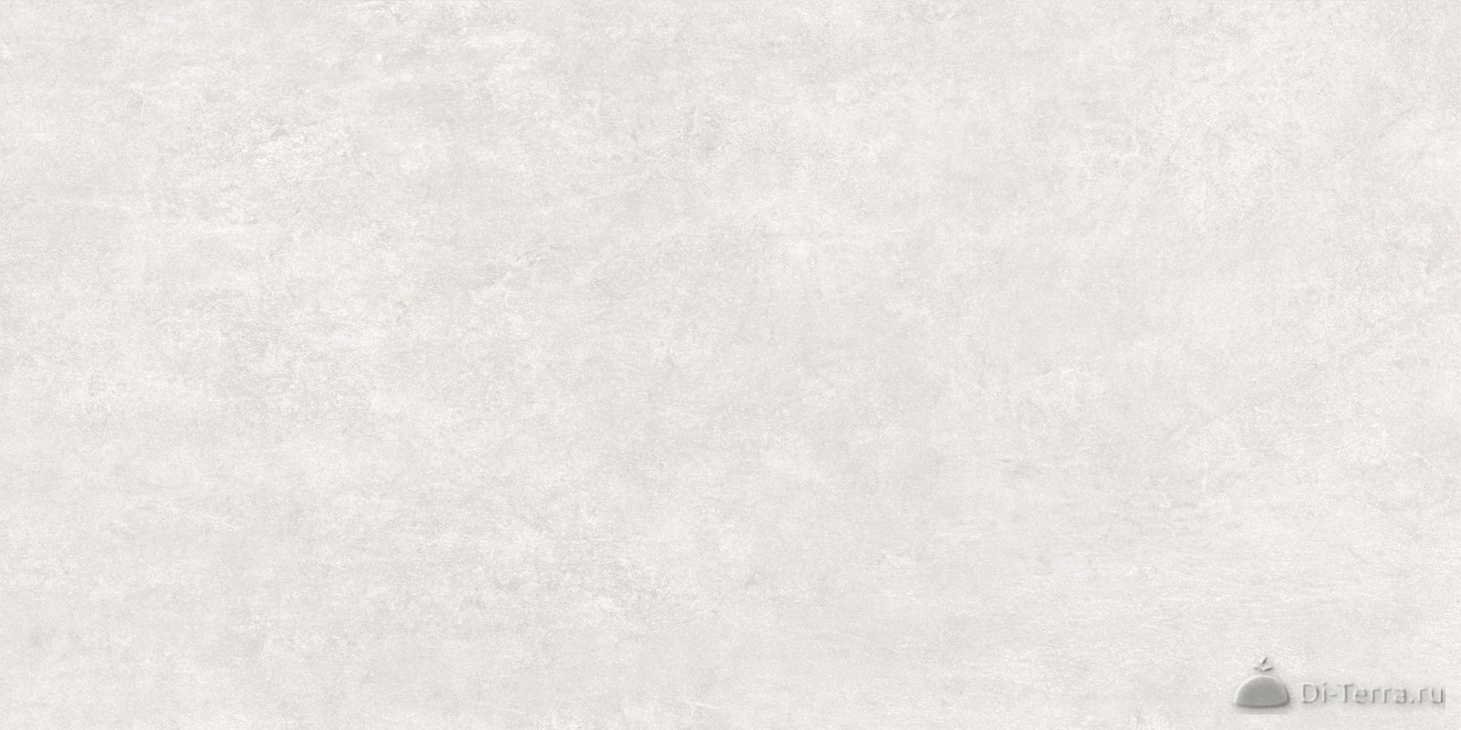 Lofthome Gray 30×60 Matt