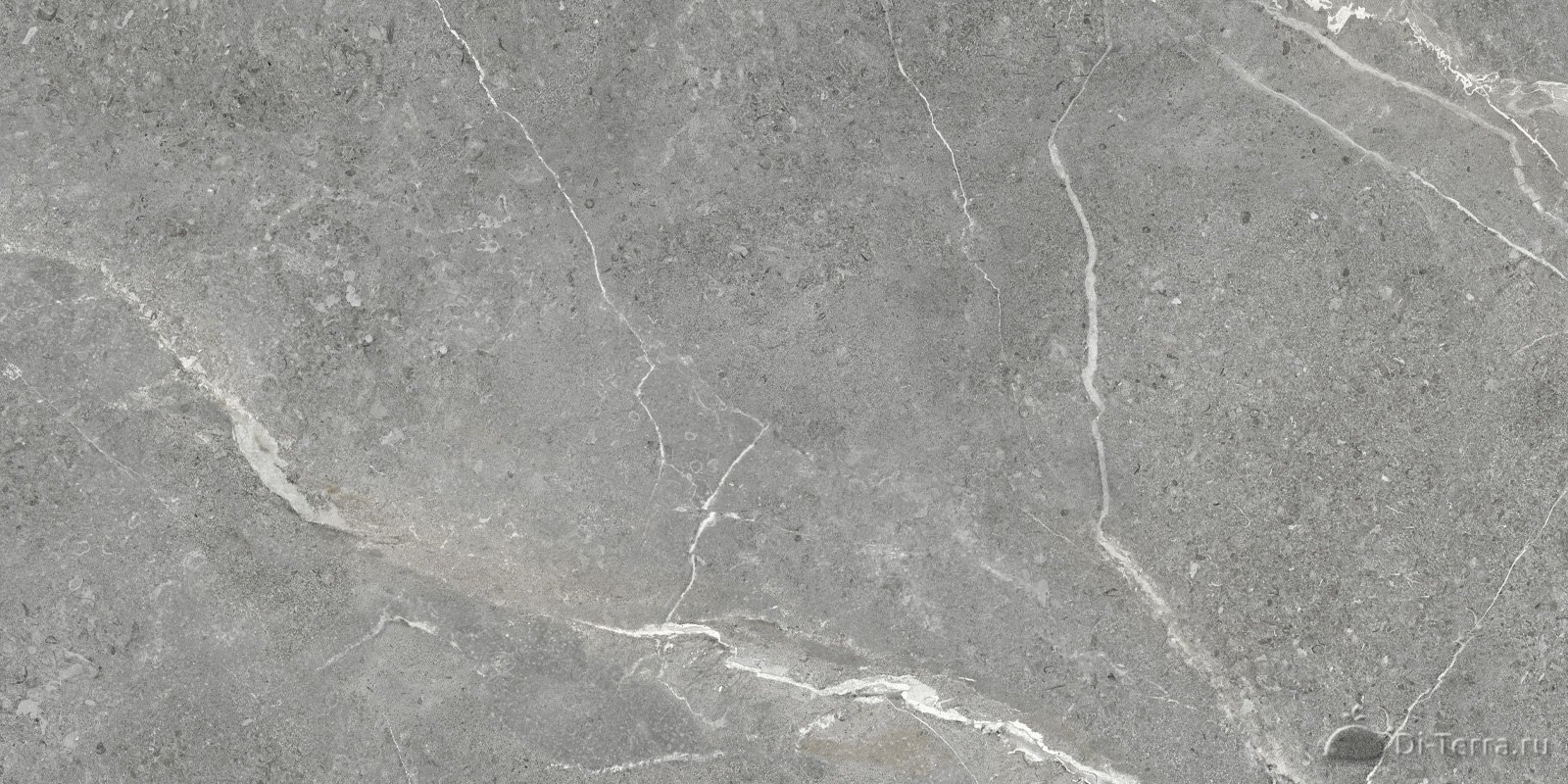 Titanium Gris 600*1200 (2 Шт В Уп/41,76 М В Пал)