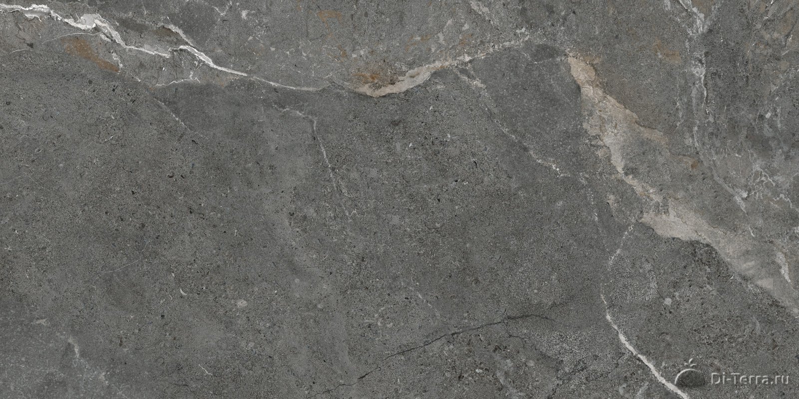 Titanium Graphite 600*1200 (2 Шт В Уп/41,76 М В Пал)