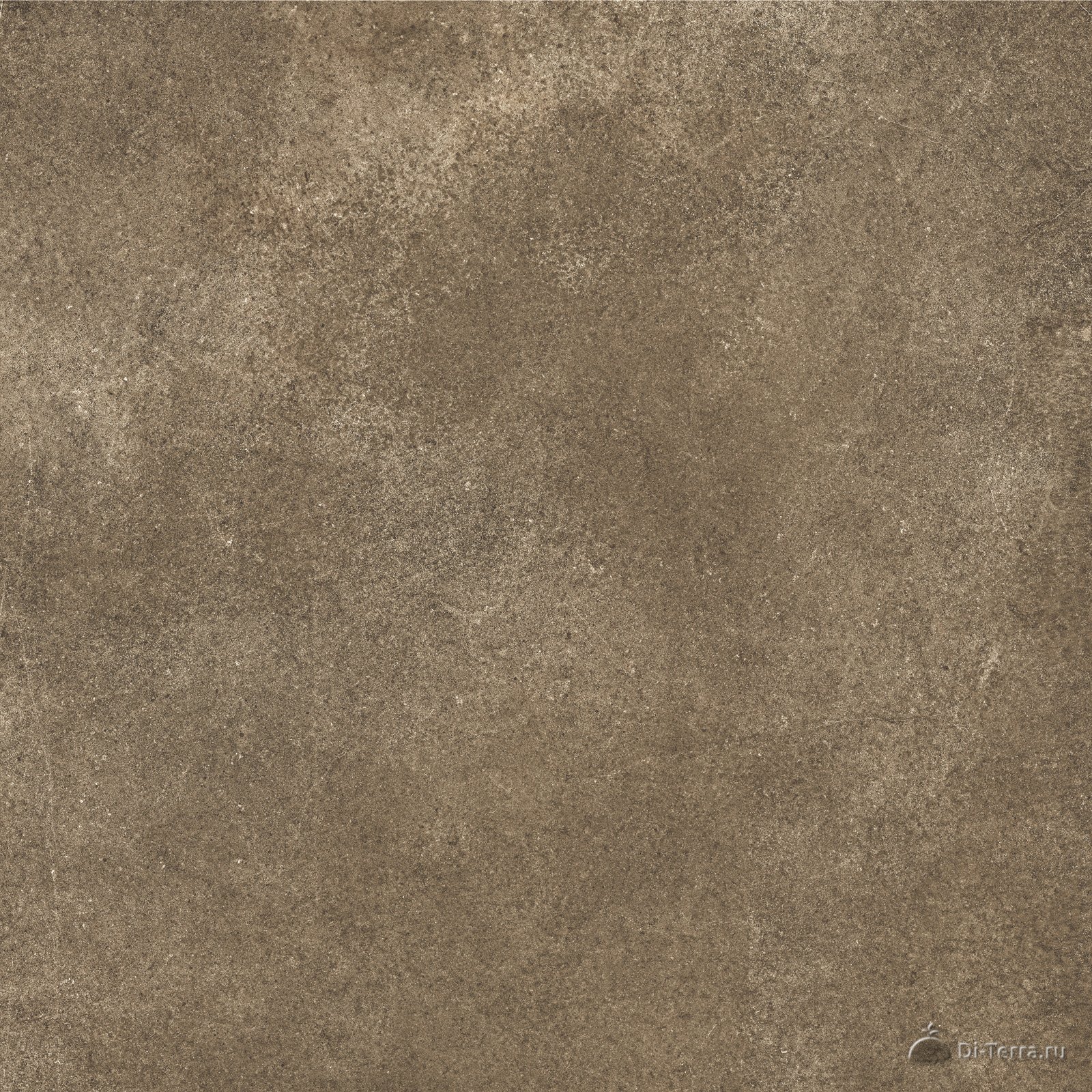 Microcement Brown 60×60 Matt