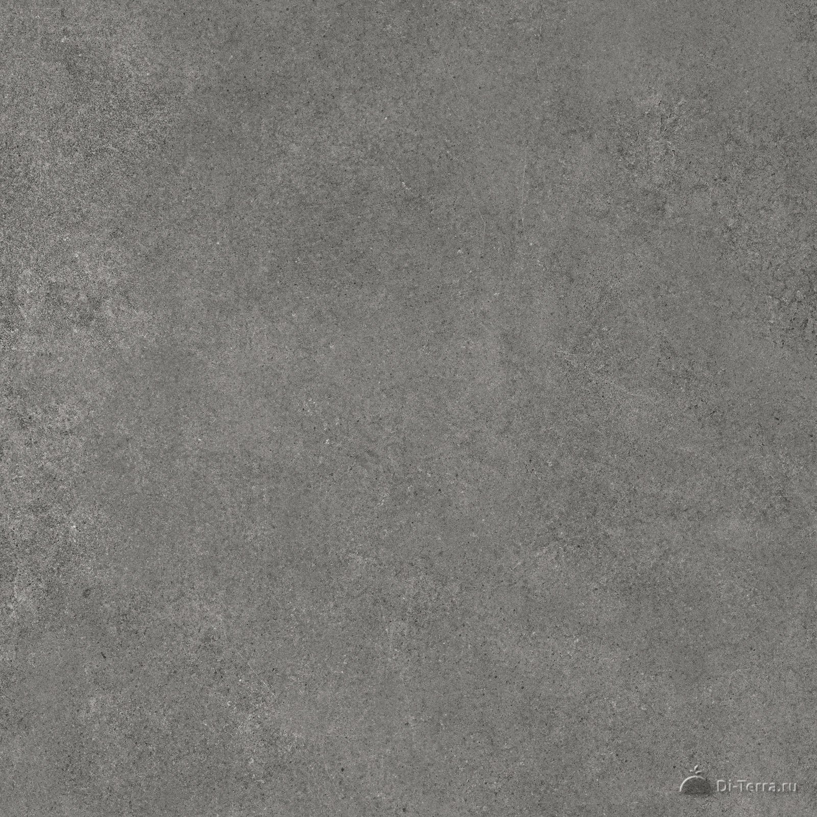 Microcement Graphite 60×60 Matt