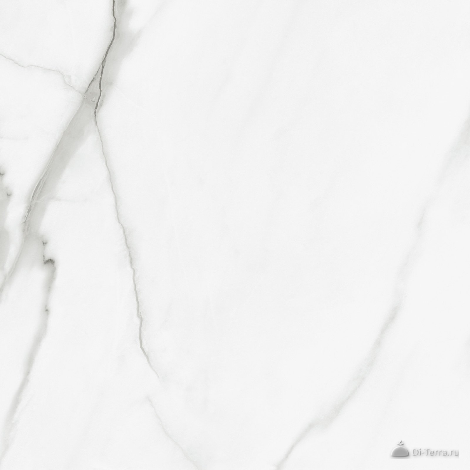 Pure Marble 60×60 Matt