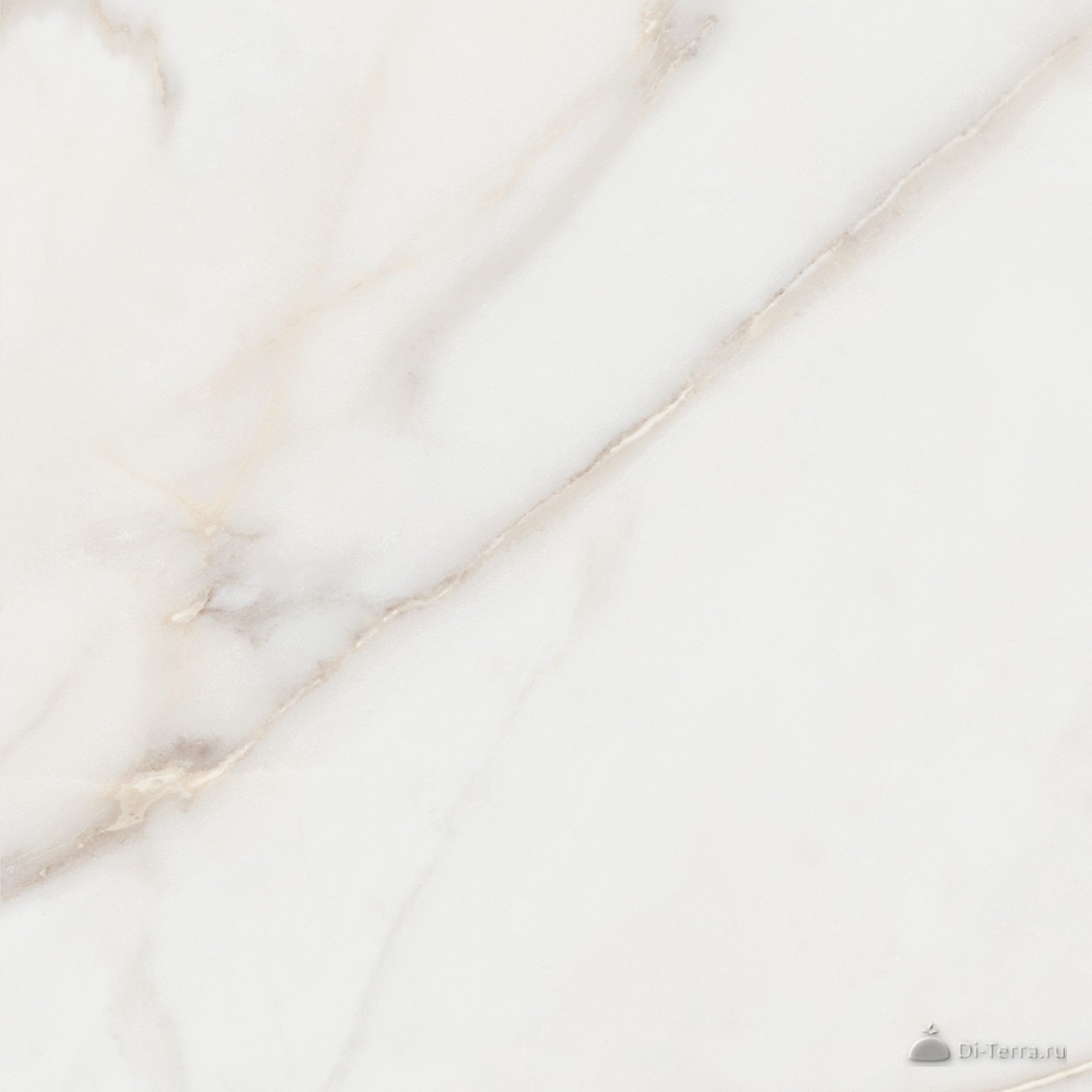 Pure Marble Gold 60×60 Matt