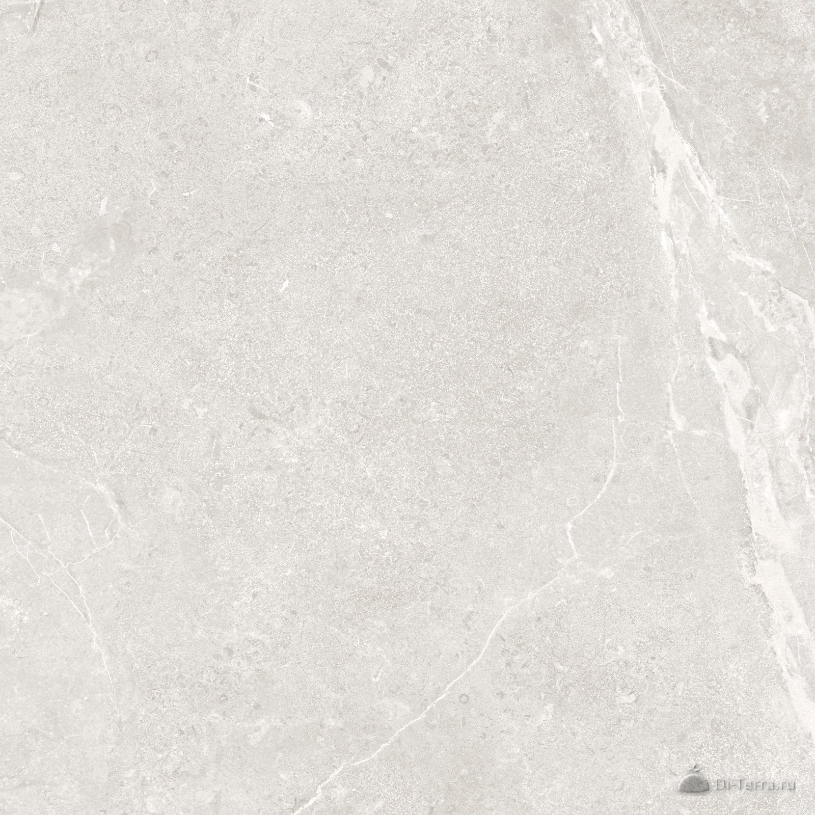 Titanium White 60×60 Matt