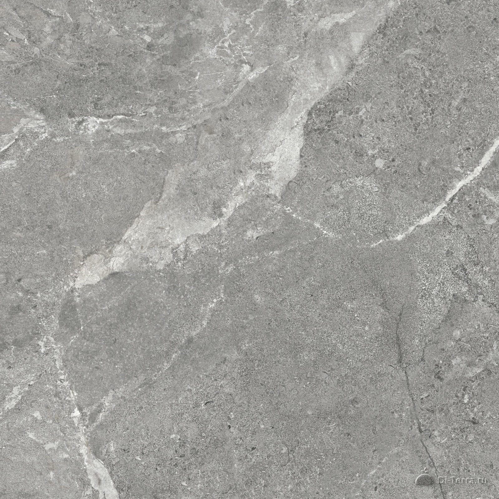 Titanium Gris 60×60 Matt