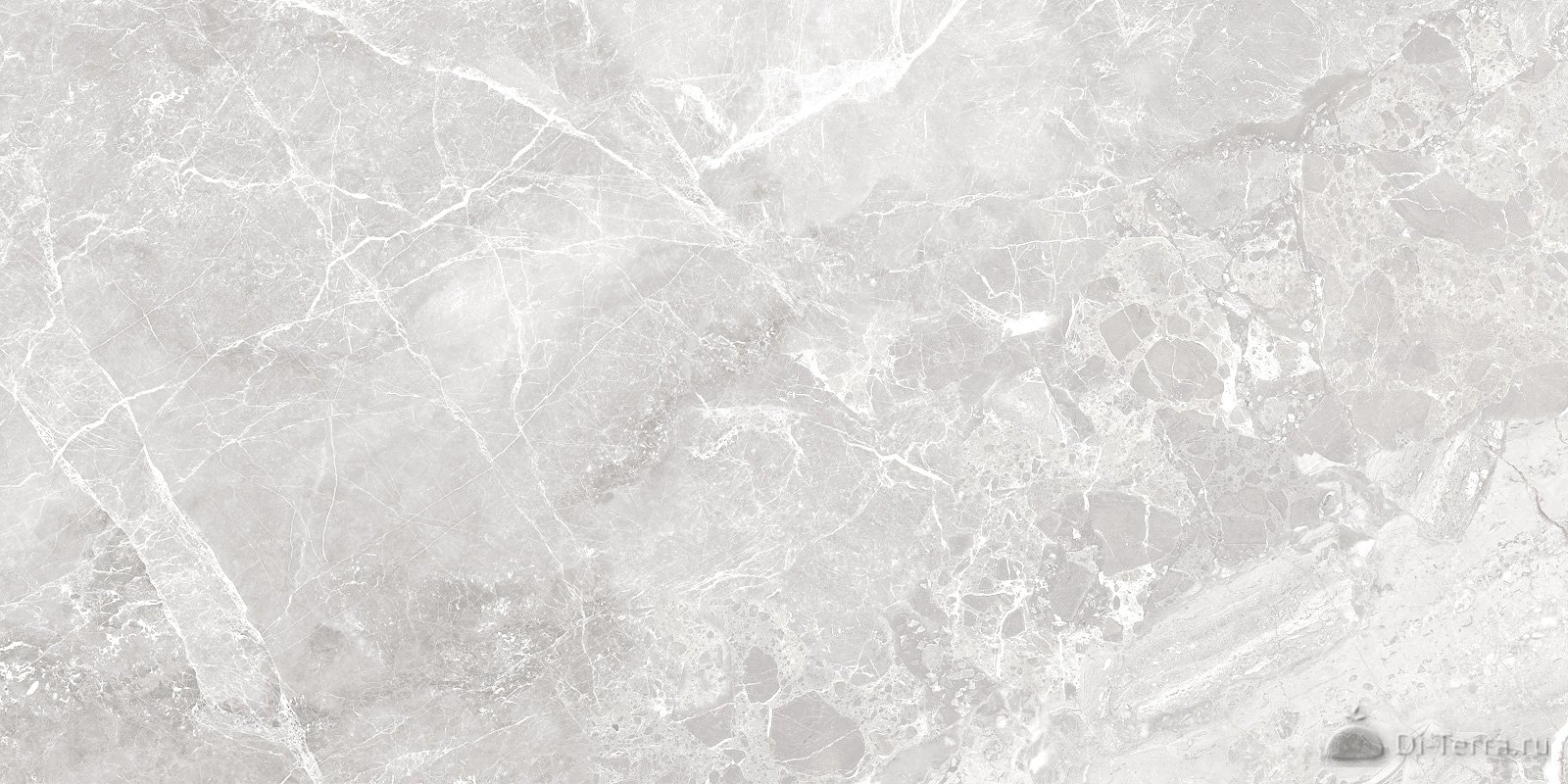Greiny Gris 60×120 Matt