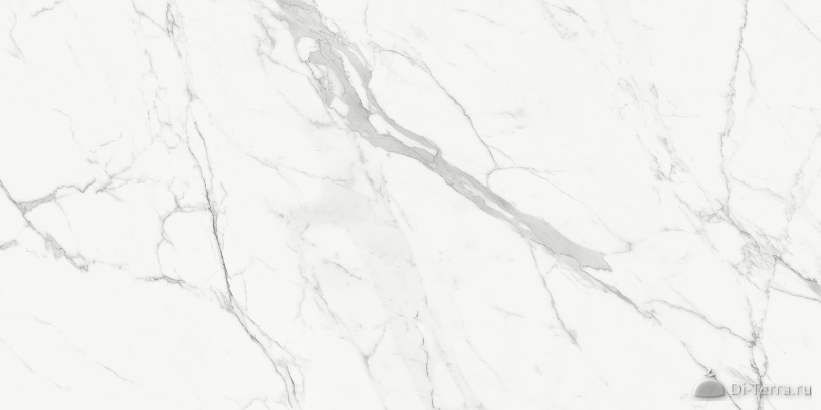 Porfido Carrara 120×60 Matt