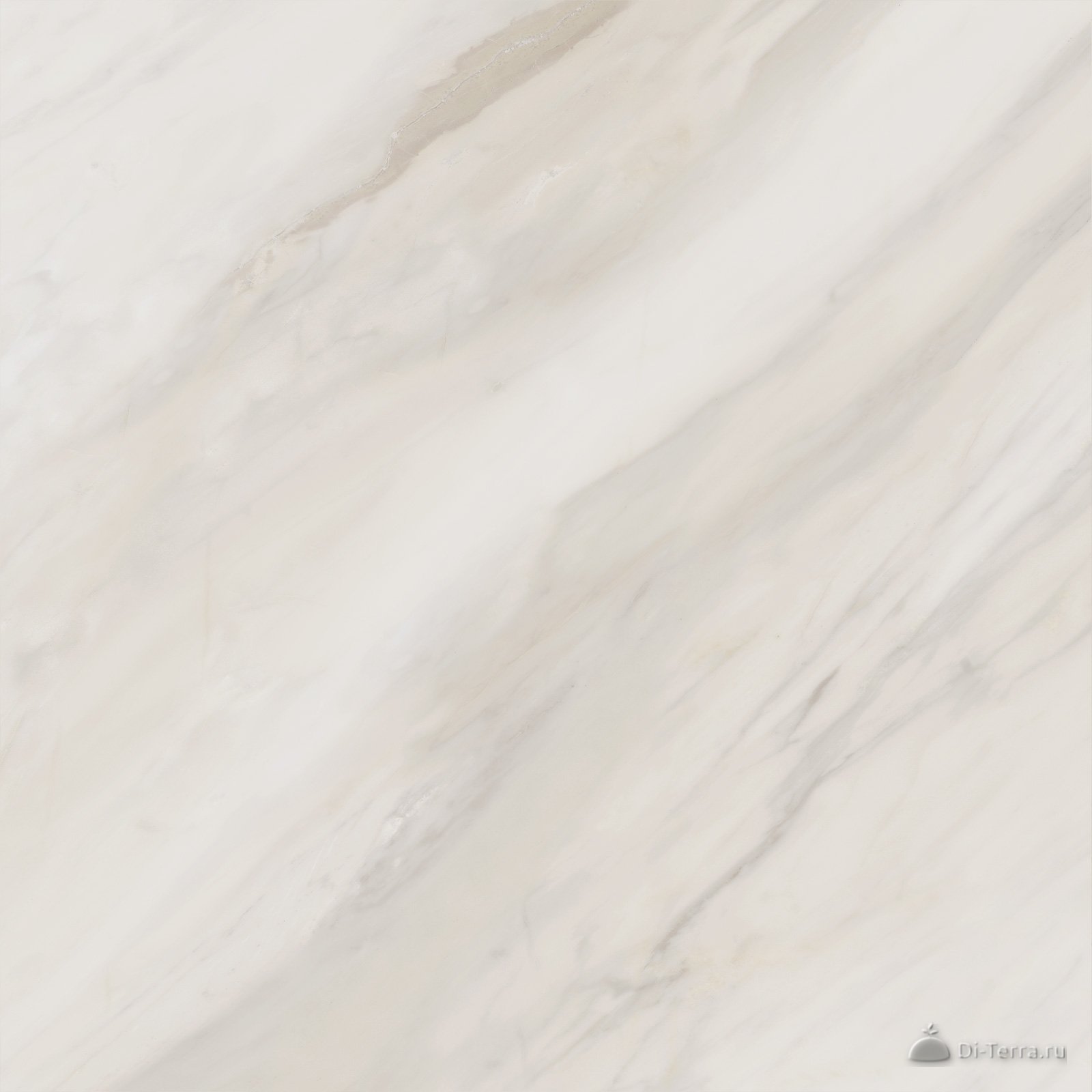 Carolina Crema 60×60 Matt