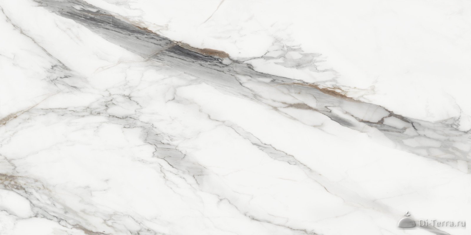 Carrara Cersei 120×60 Matt