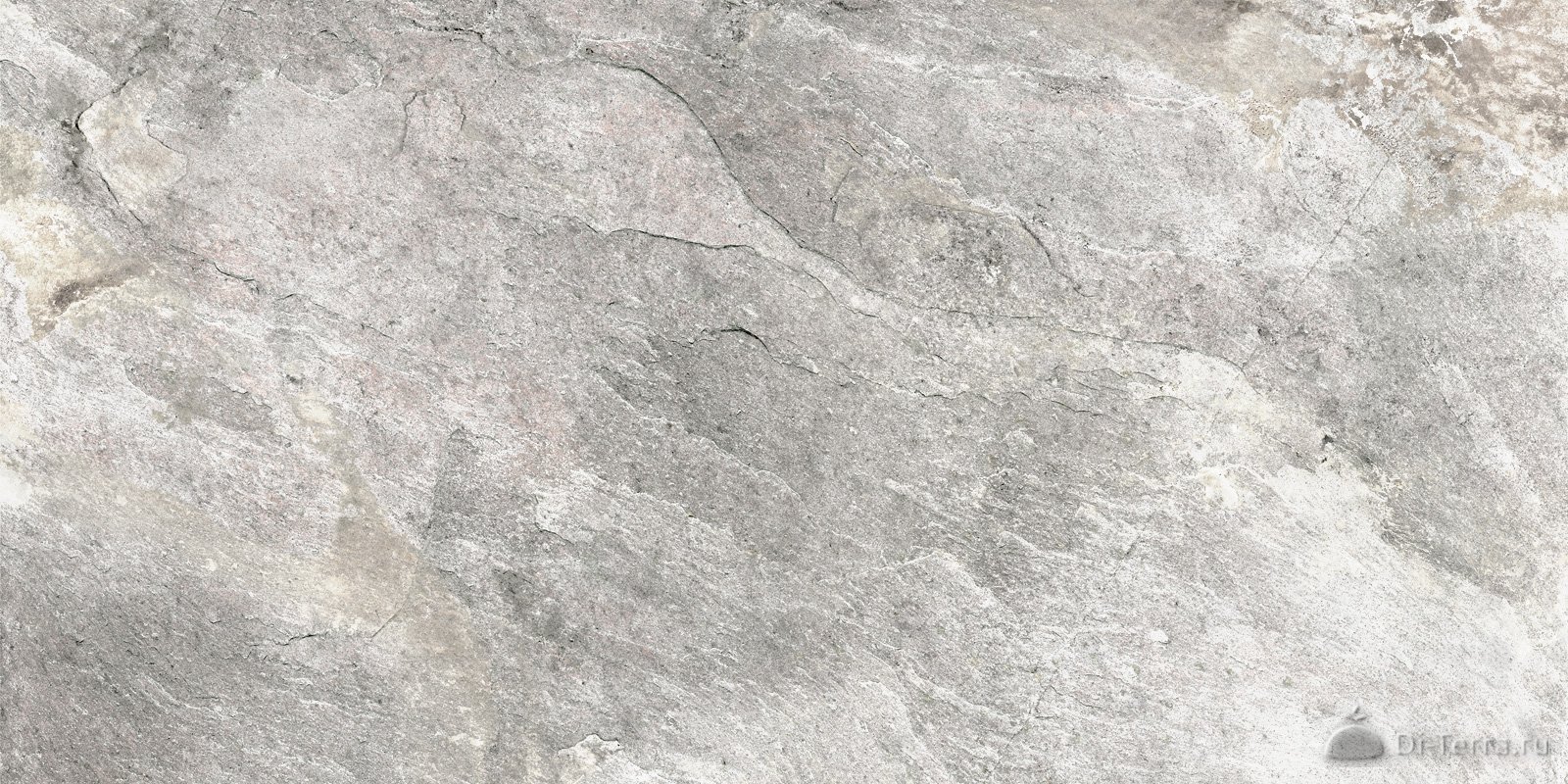 Stoncrete Gray 120×60 Lappato