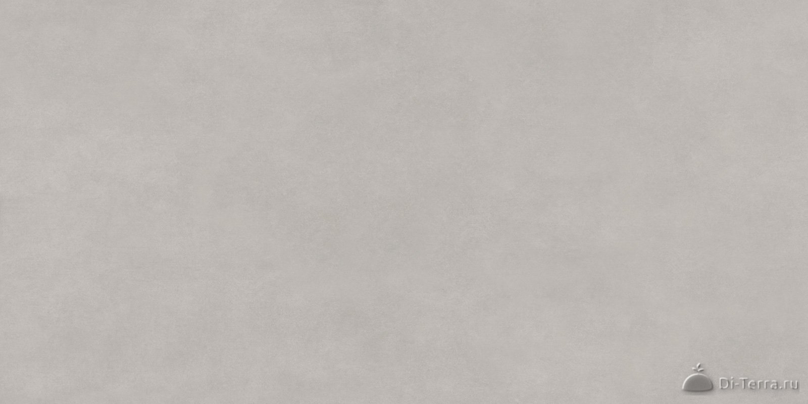 Life Cement Gray 120×60 Matt