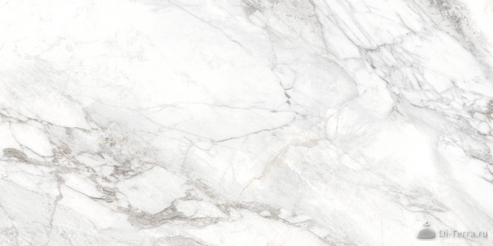 Bahamas Carrara 120×60 Matt