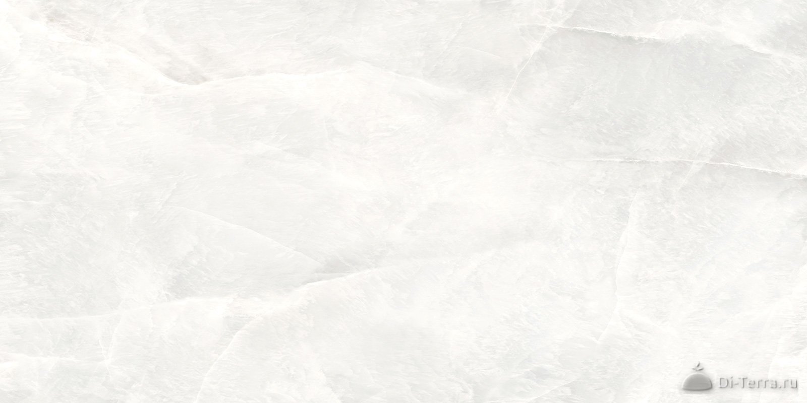Salt White 120×60 Lappato