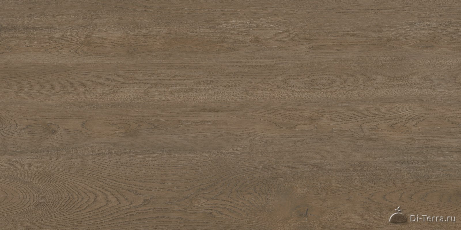 Walnut Dark 120×60 Matt