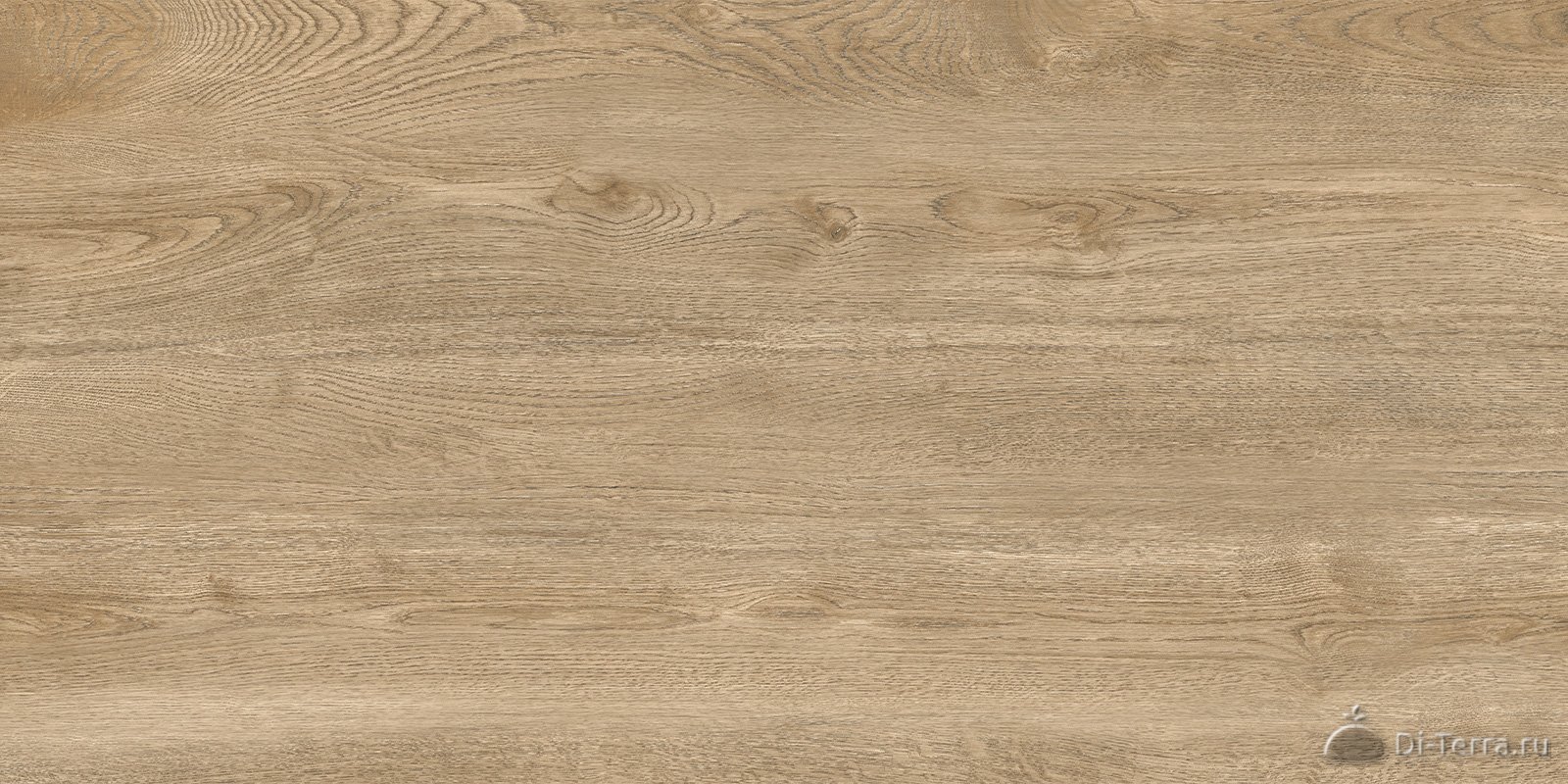Walnut Light 120×60 Matt