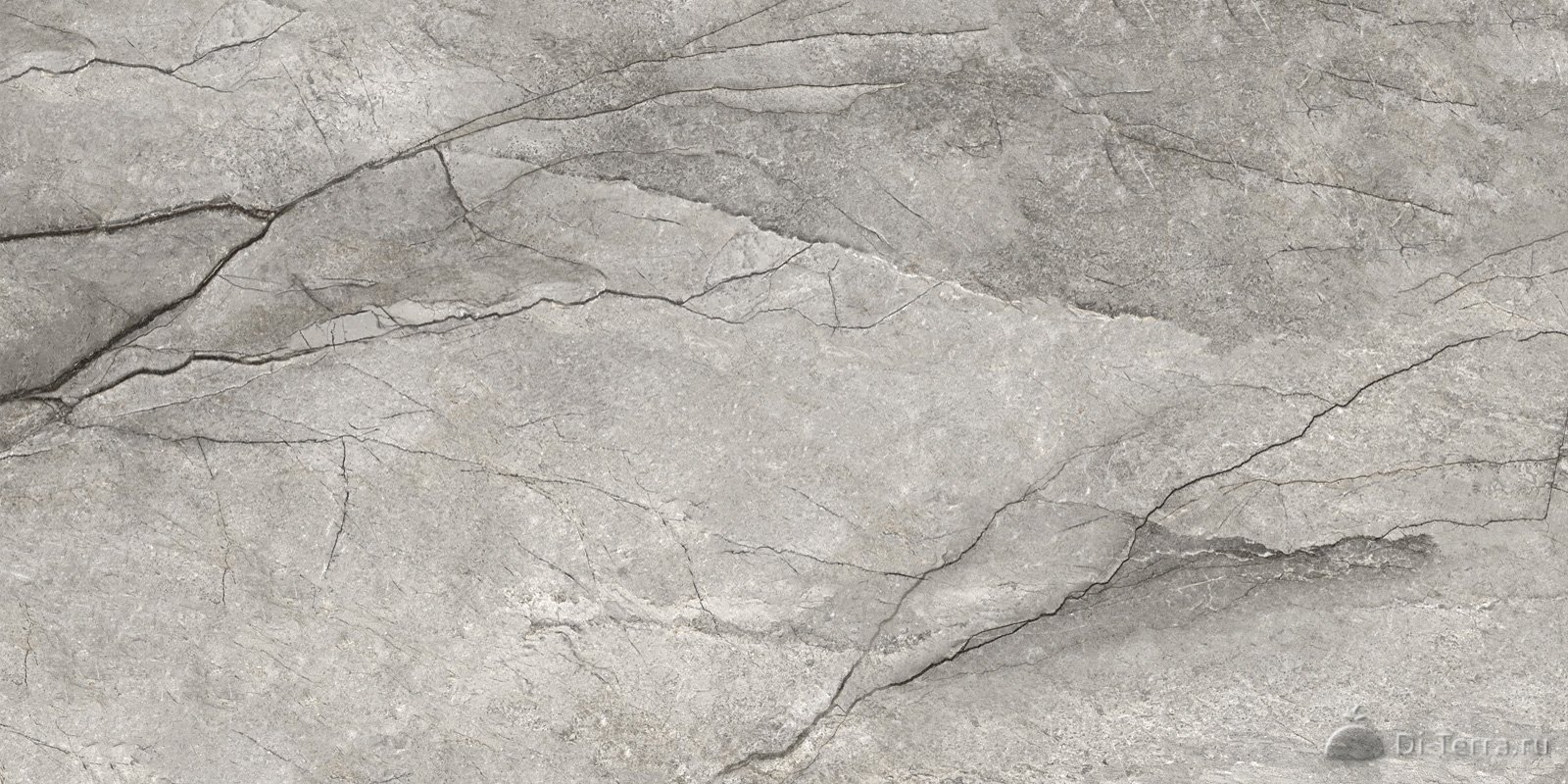 Oregon Gray 120×60 Matt