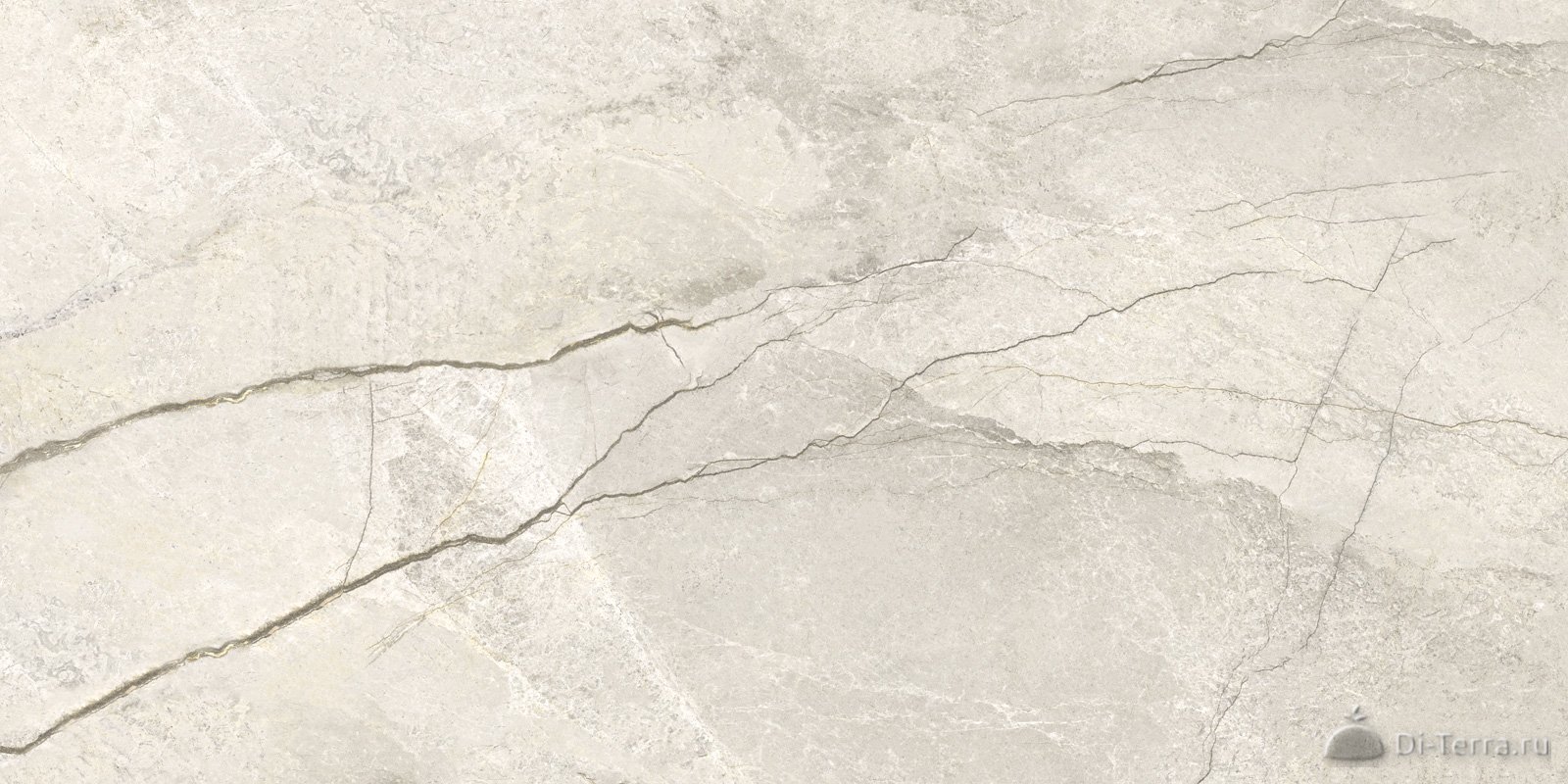Oregon Ivory 120×60 Matt