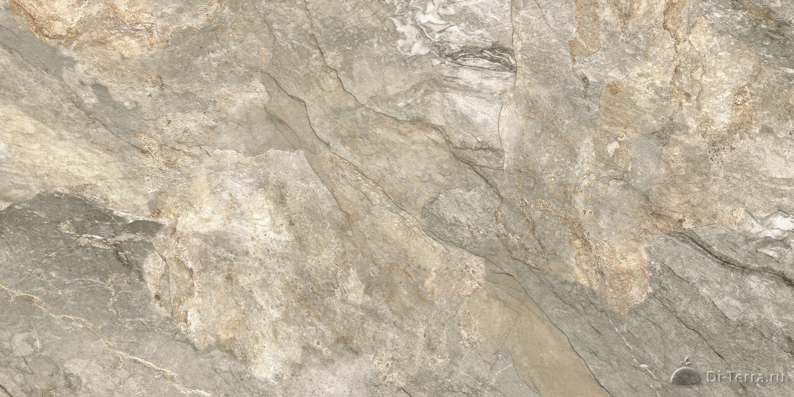 Slate Brown 120×60 Matt