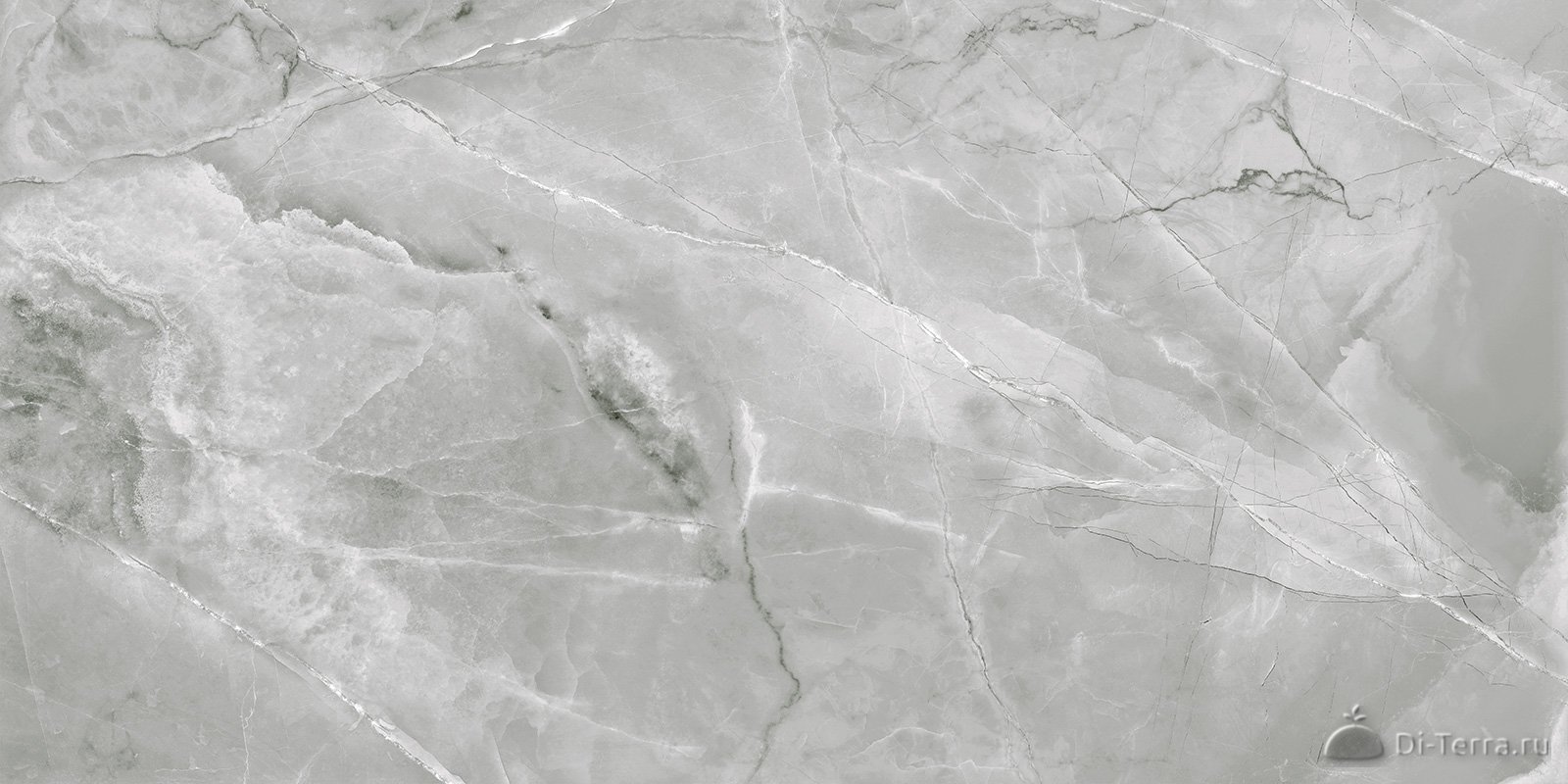 Canova Dark 120×60 Matt