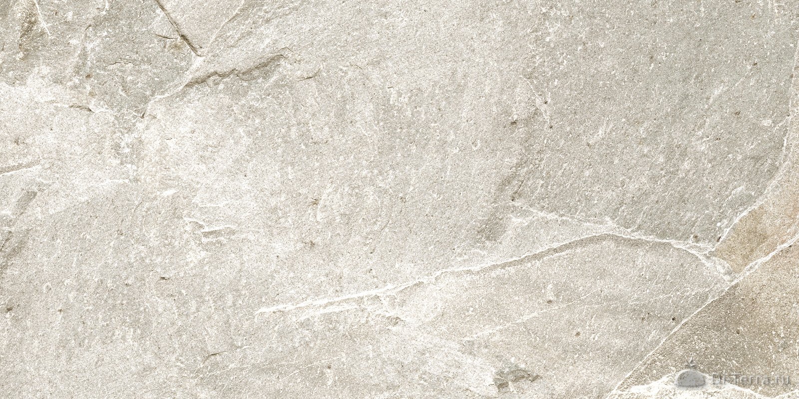 Stoncrete Beige 60×30 Matt