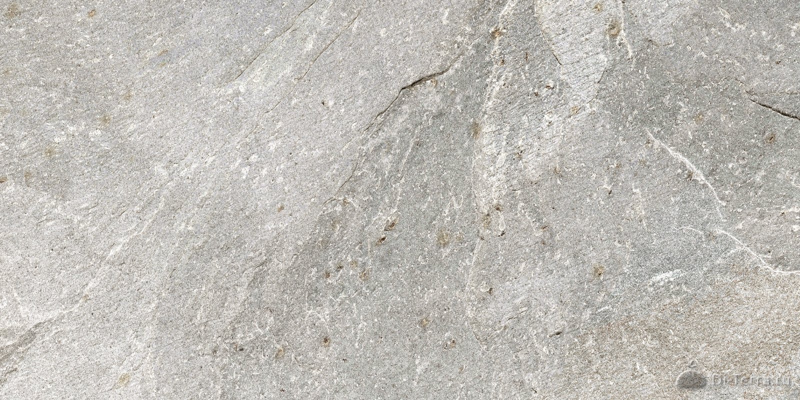 Stoncrete Gray 60×30 Matt