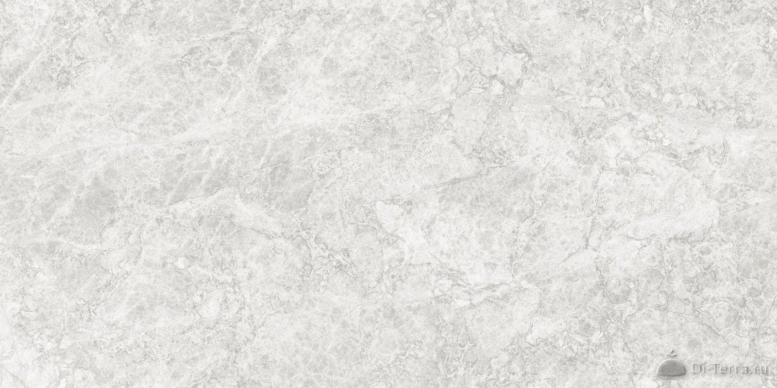 Tundra Gris 60×30 Matt
