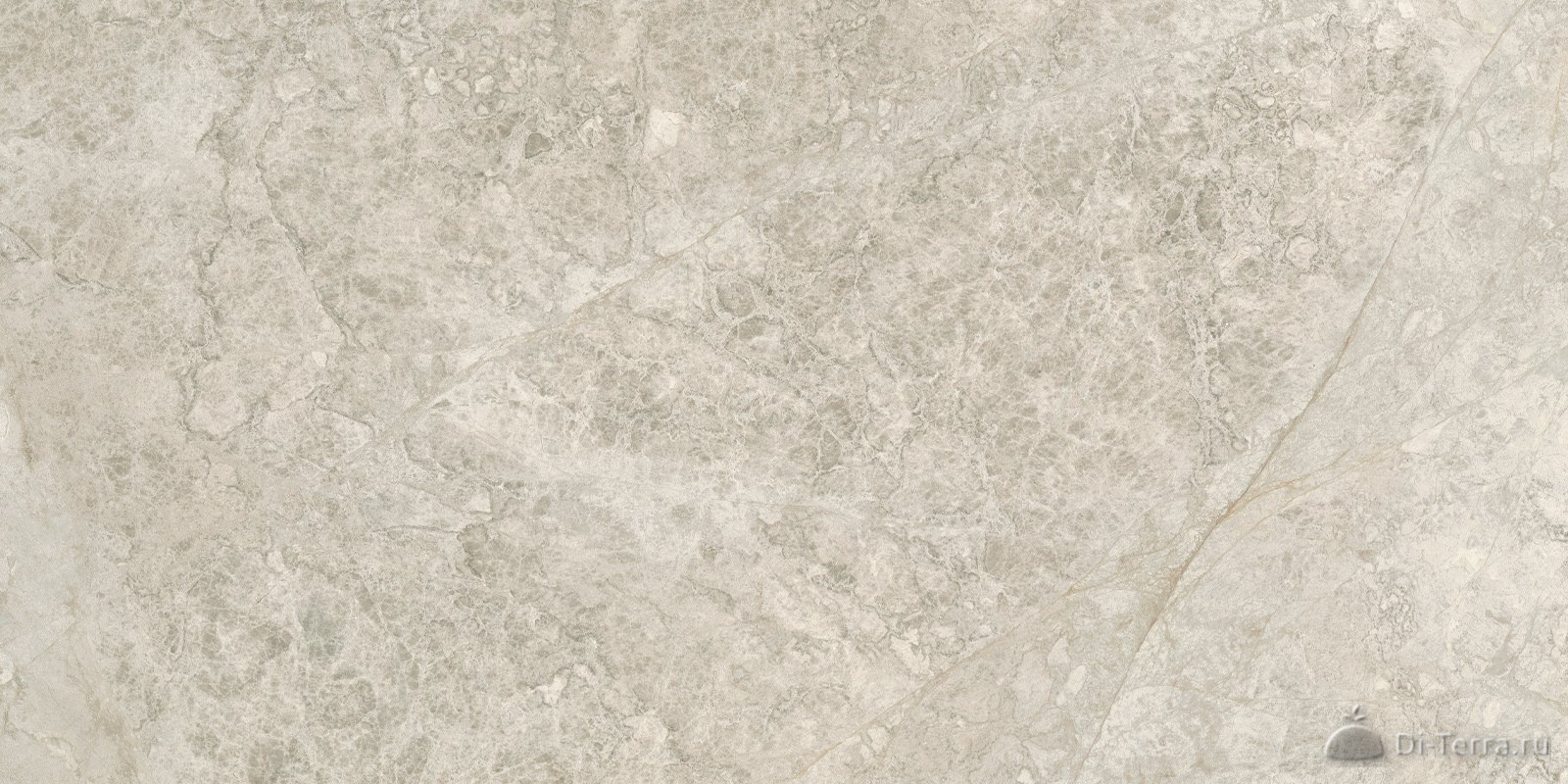 Tundra Sand 60×30 Matt