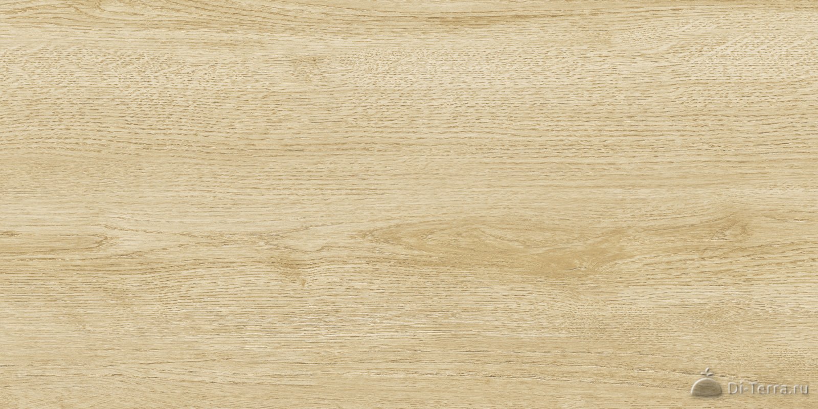 Walnut Light 60×30 Matt