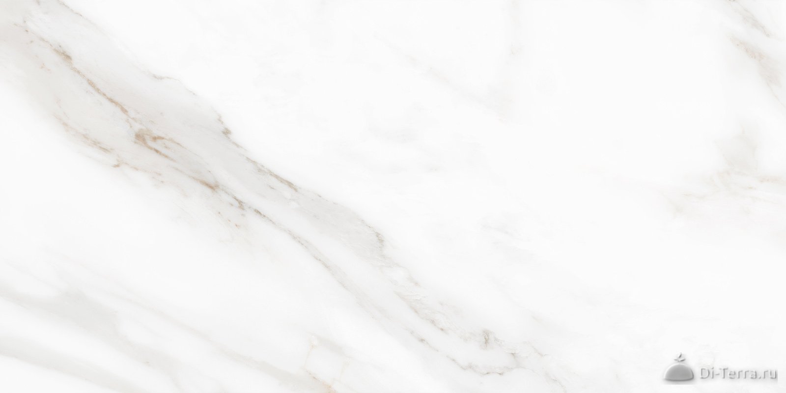 Calacatta Andrea 60×30 Matt