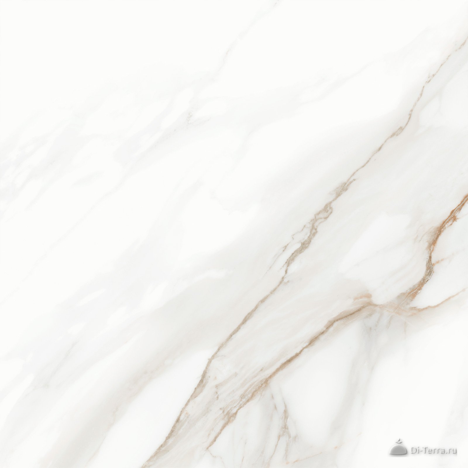 Calacatta Andrea 60×60 Matt