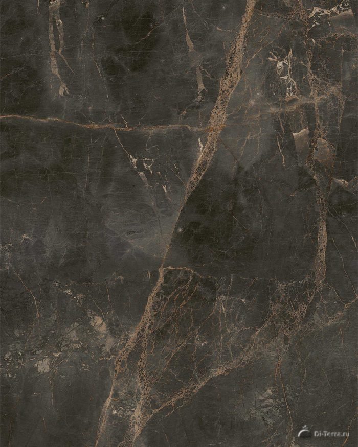 Canova Dark Scal.120 Front