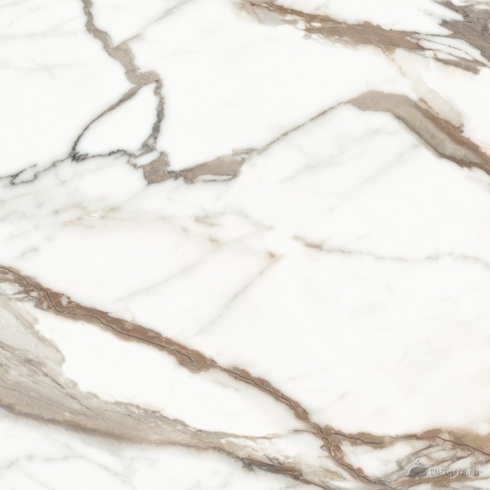 Calacatta Premium 60×60 Matt