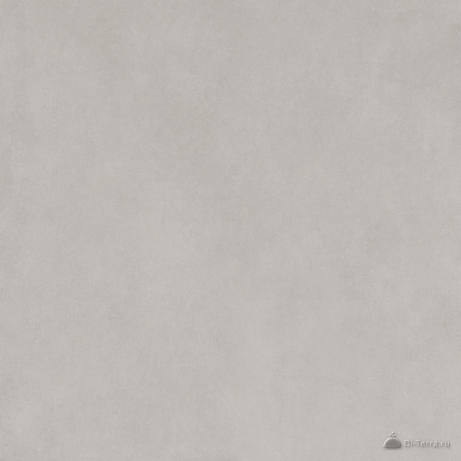 Life Cement Gray 60×60 Matt