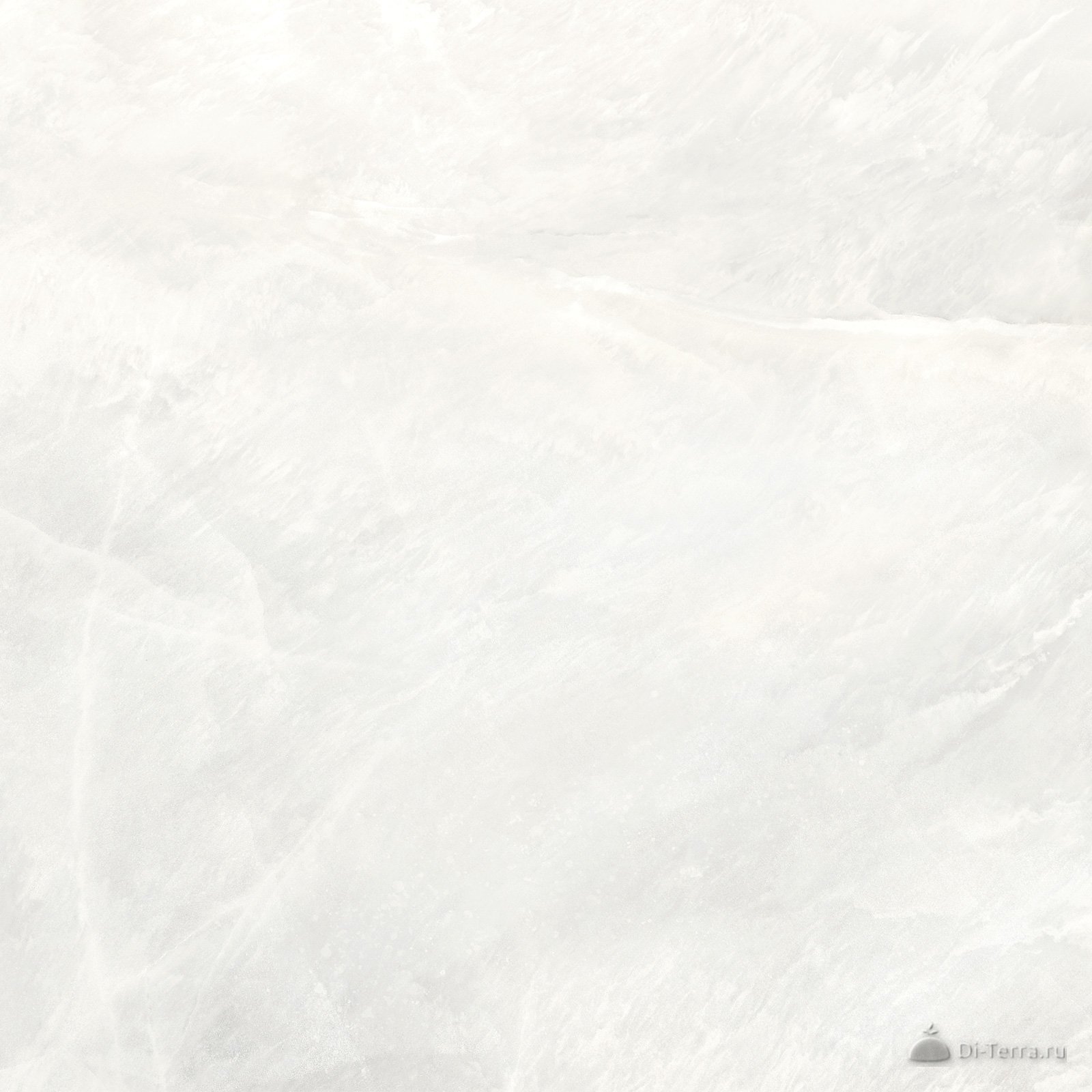 Salt White 60×60 Matt