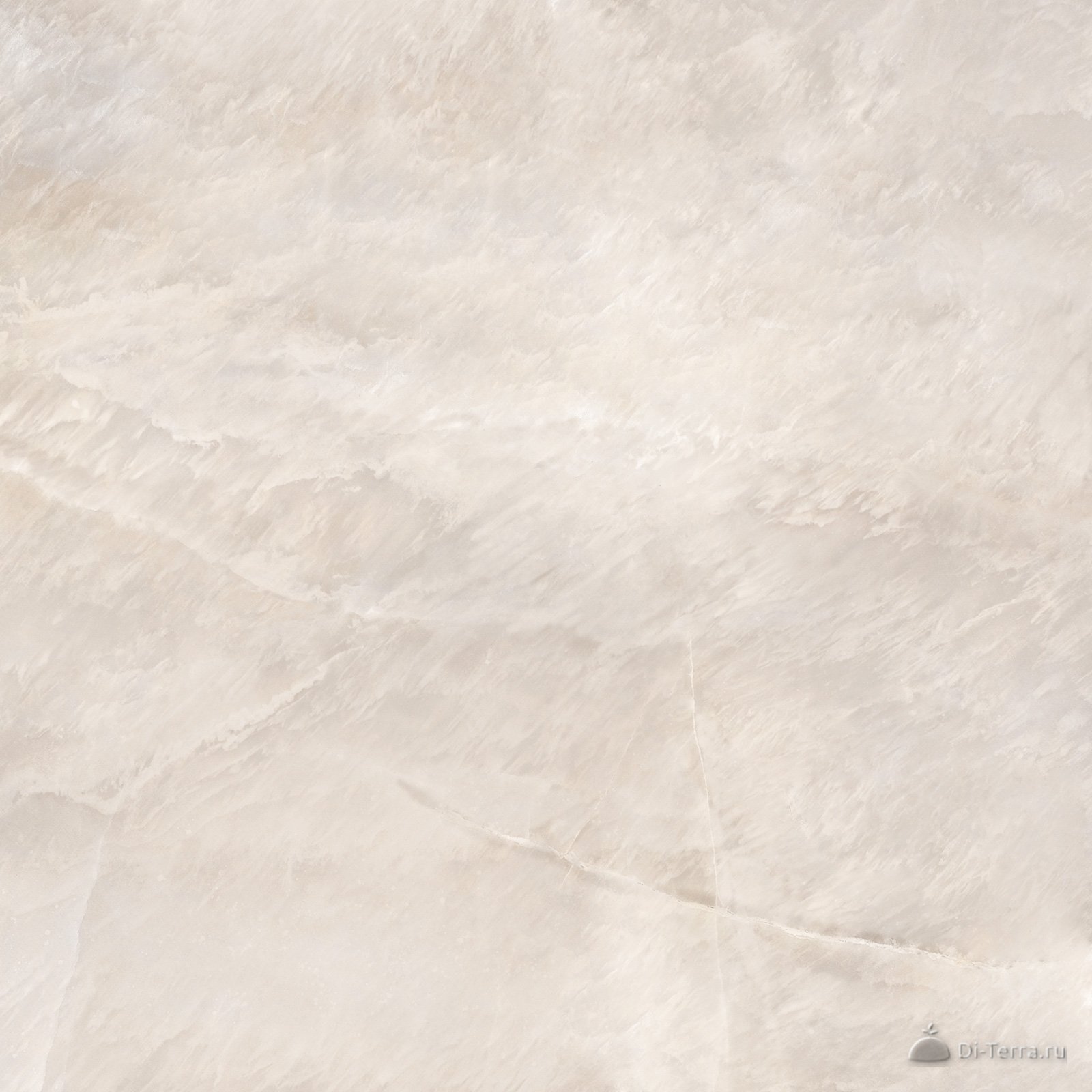 Salt Beige 60×60 Matt