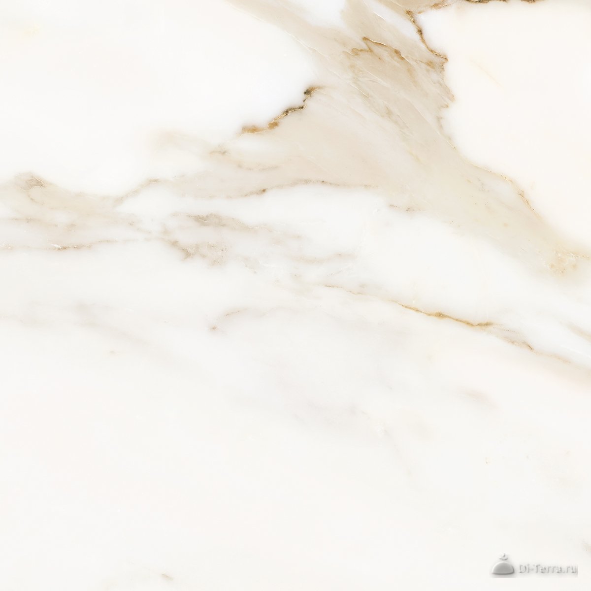 Калакатта Айвори/Calacatta Ivory