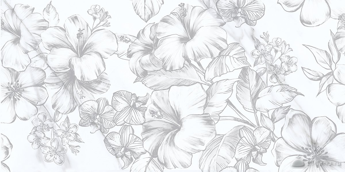 Каррара/Cararra 60×120