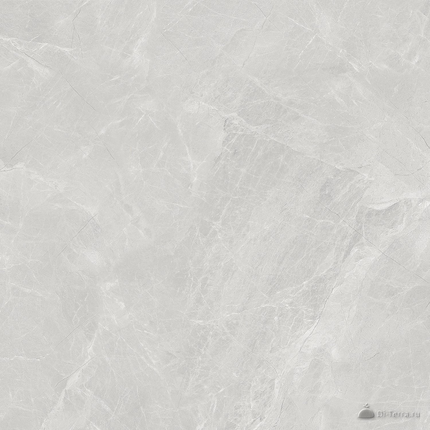 Сумерки / Sumerki 60×60 Light Grey