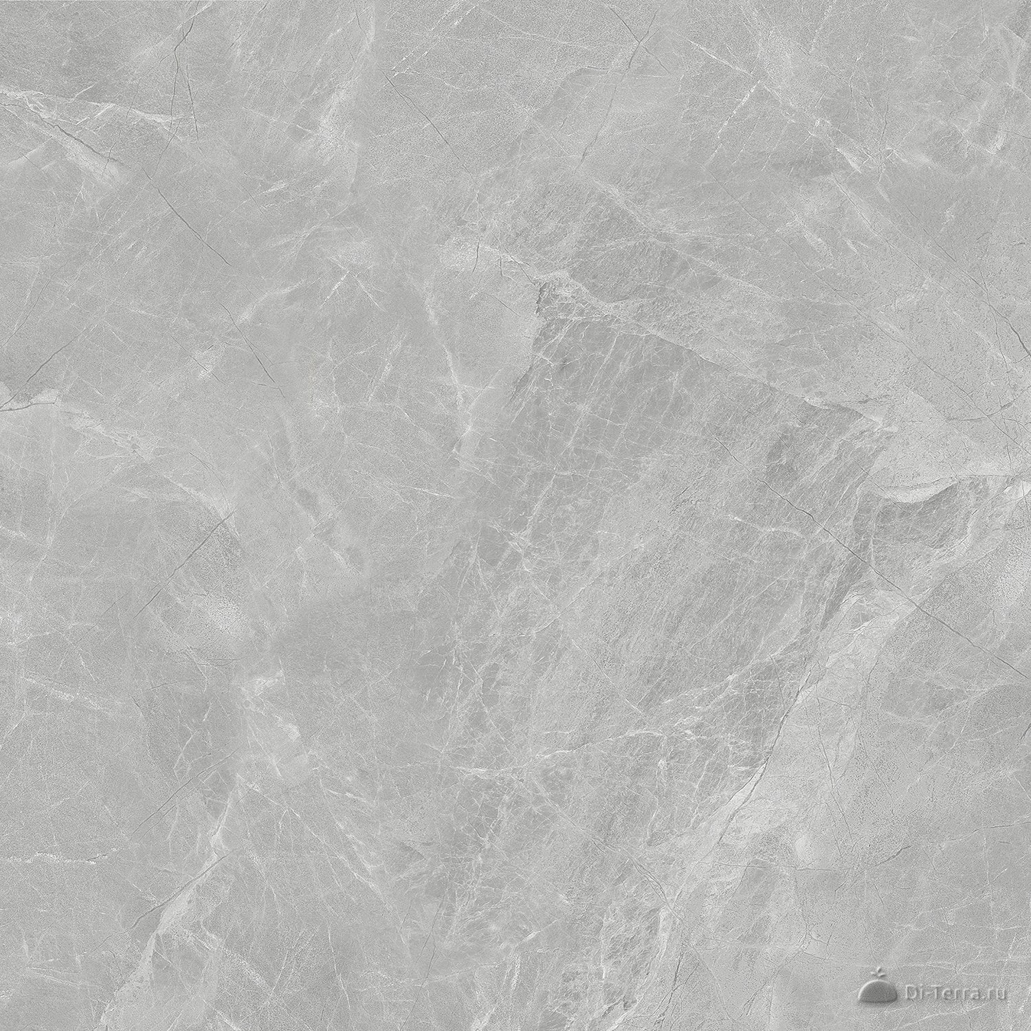 Сумерки / Sumerki 60×60 Grey