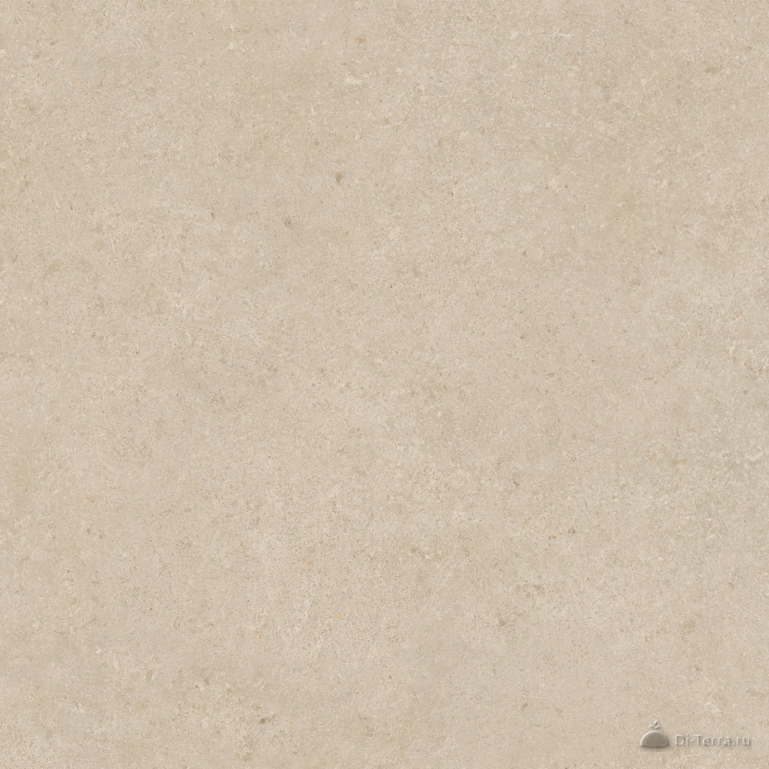 Полдень / Polden 60×60 Beige