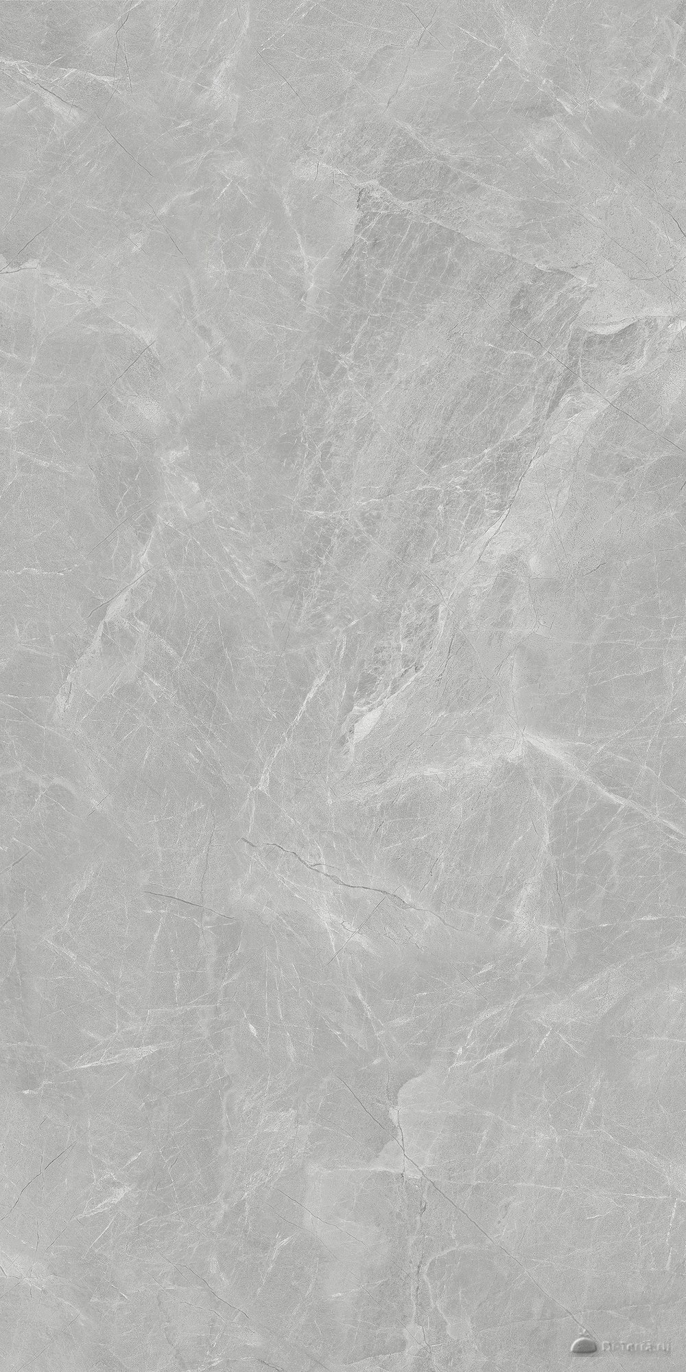 Сумерки / Sumerki 60×120 Grey