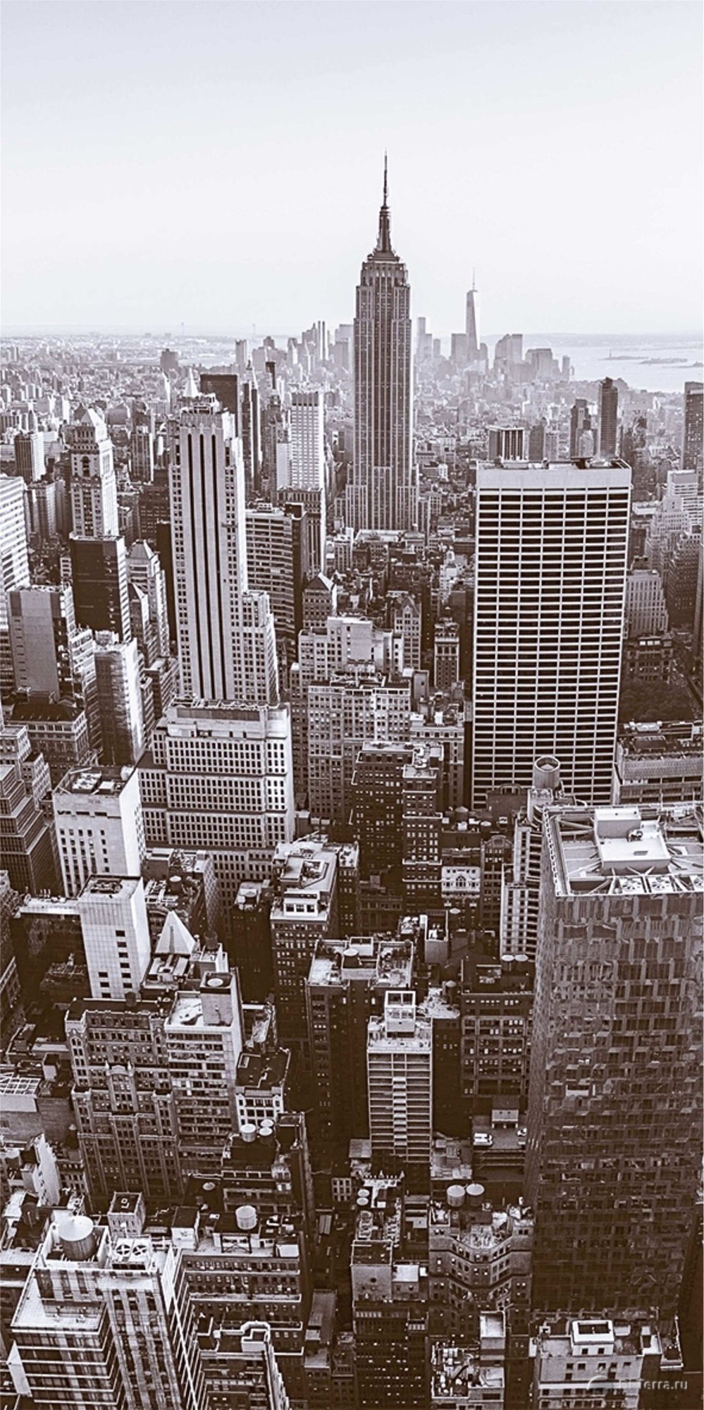 City D, D1, D2 60×30
