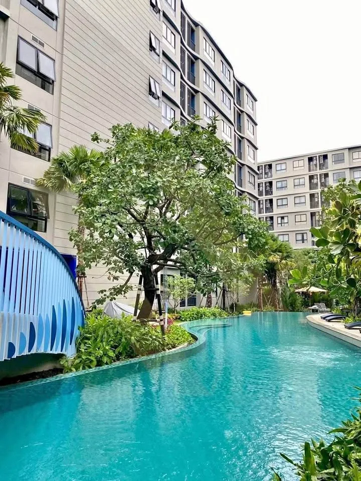 1-комнатная квартира в аренду в DCondo Reef, Kathu, Пхукет