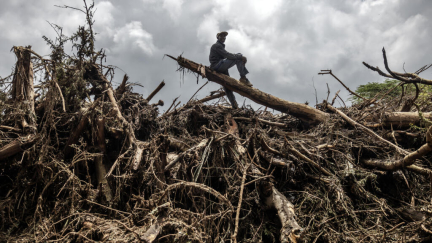 2024 'certain' to be hottest year on record and first above critical 1.5C threshold